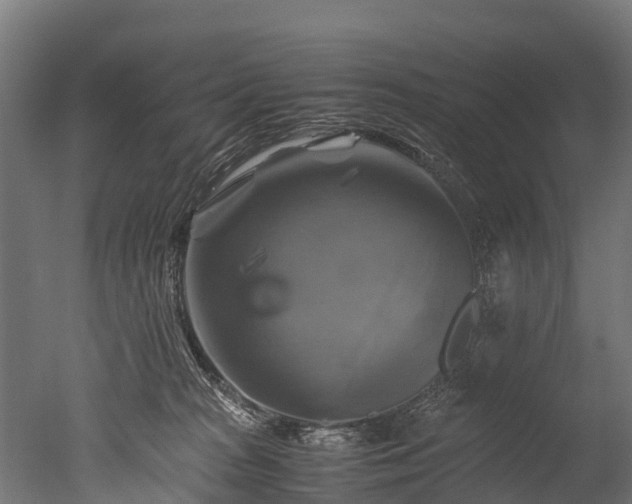 X0000050740277200506161535