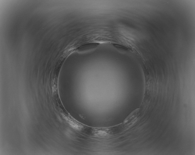 X0000050740285200506161535