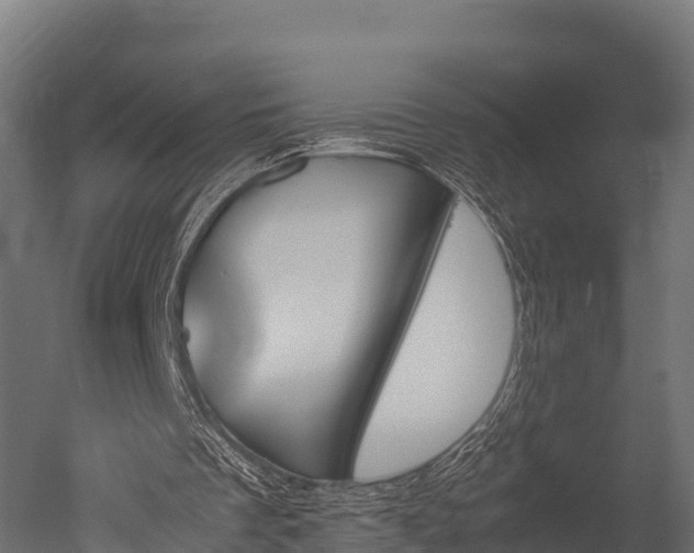 X0000050740289200506161534