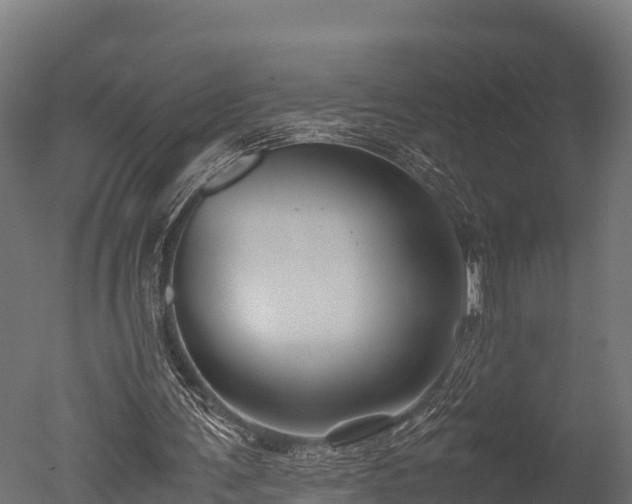 X0000050740291200506161534