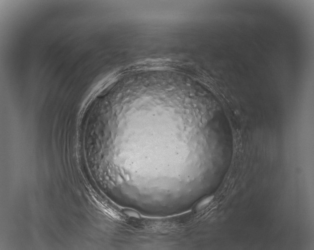 X0000050740293200506161534