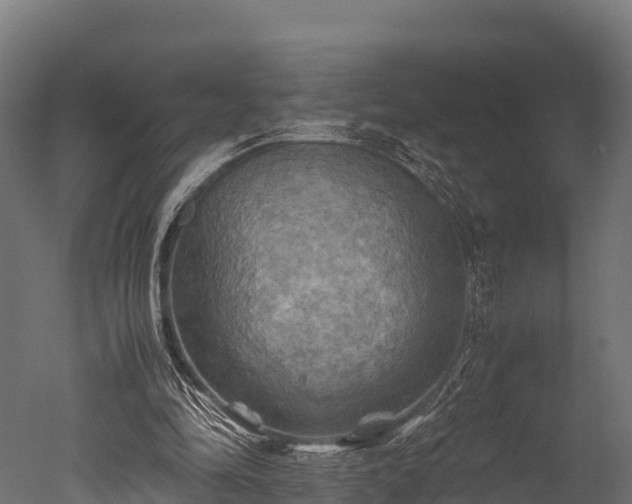 X0000050740294200506161534