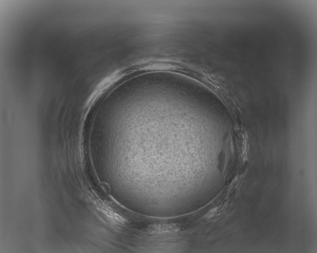 X0000050740296200506161534