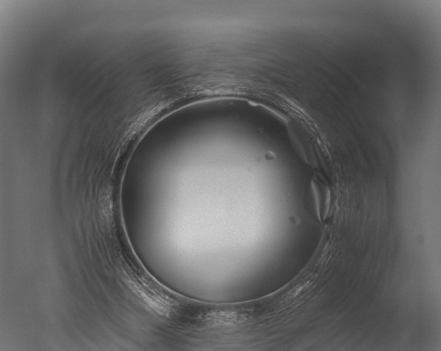 X0000050740298200506161534