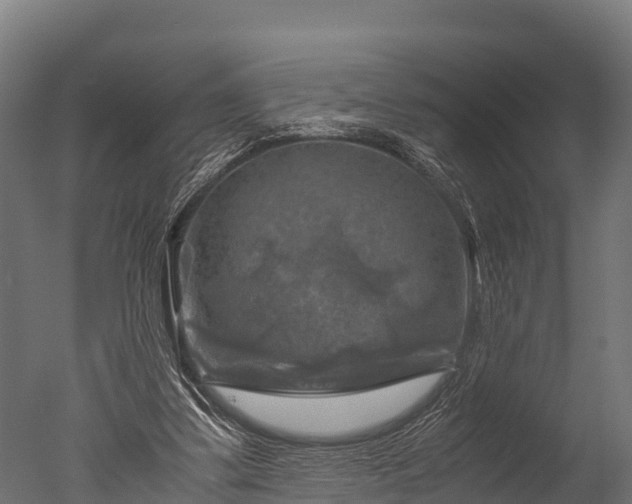 X0000050740299200506161534
