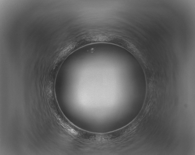 X0000050740305200506161534
