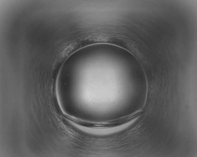 X0000050740309200506161534