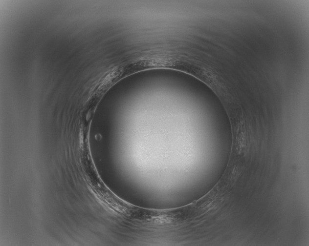 X0000050740310200506161534