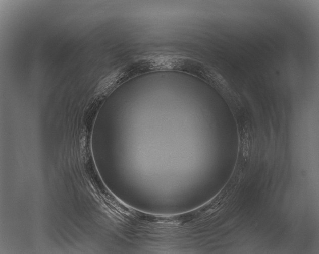 X0000050740314200506161534