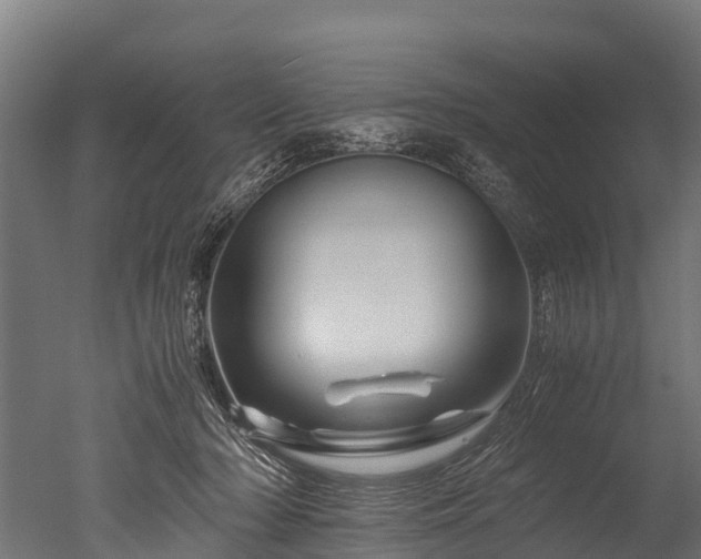 X0000050740318200506161534