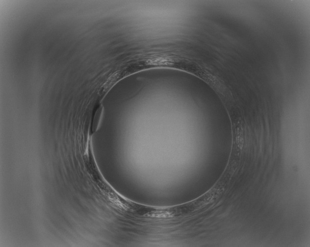 X0000050740322200506161534