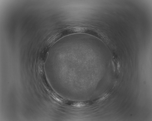 X0000050740325200506161534
