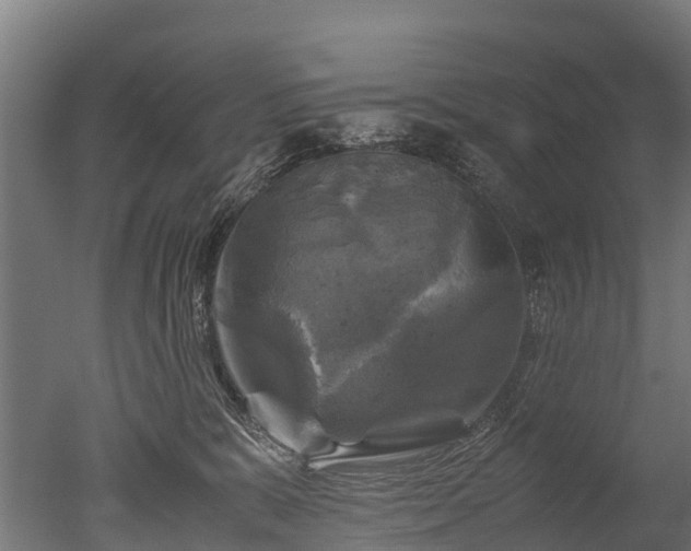 X0000050740327200506161534