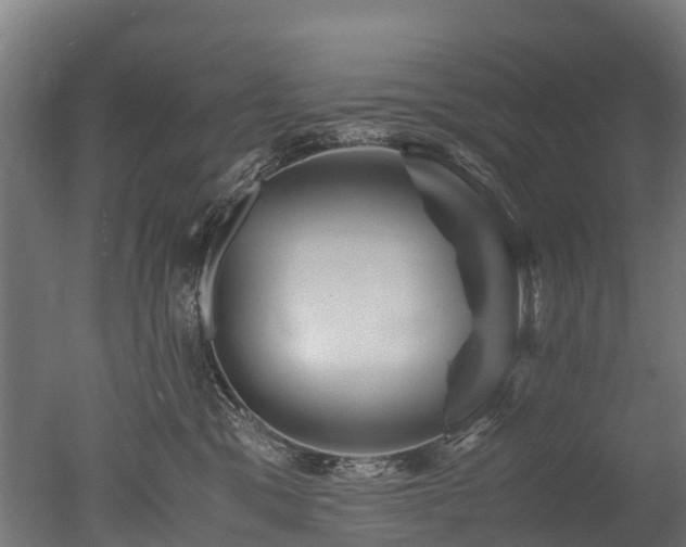 X0000050740329200506161534