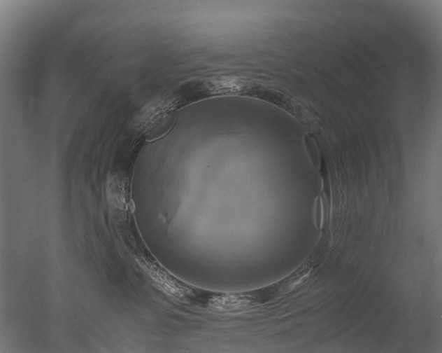X0000050740331200506161534
