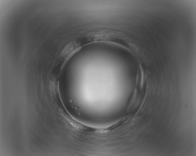 X0000050740333200506161533