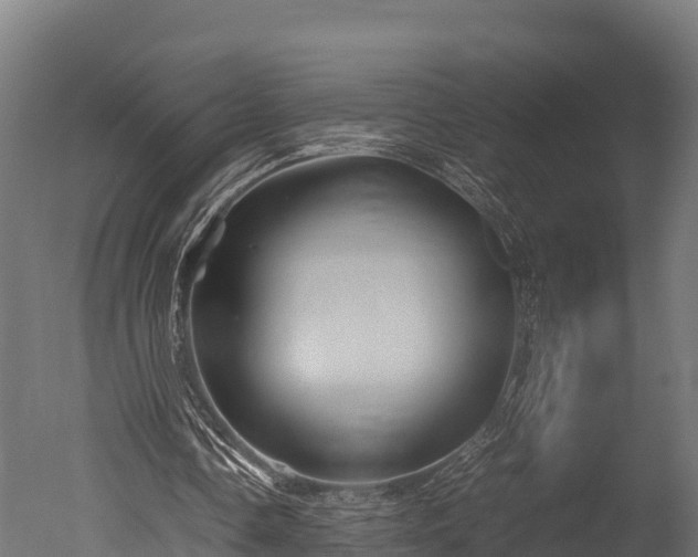 X0000050740338200506161533