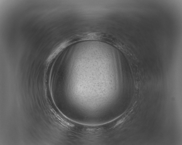 X0000050740341200506161533