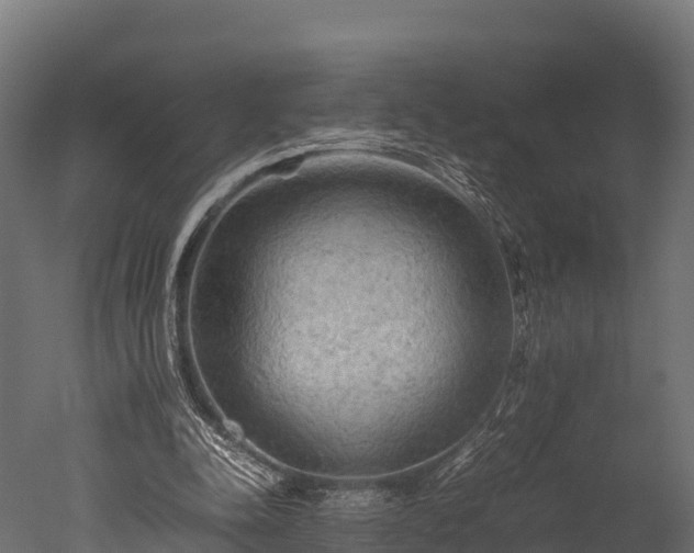 X0000050740342200506161533