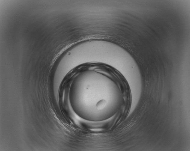 X0000050740348200506161533
