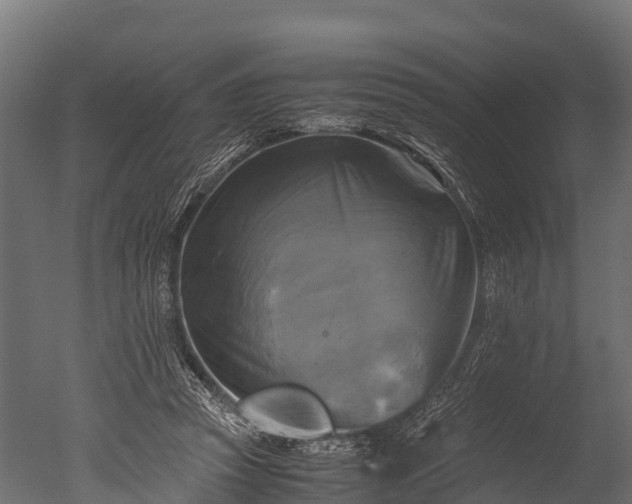 X0000050740353200506161533