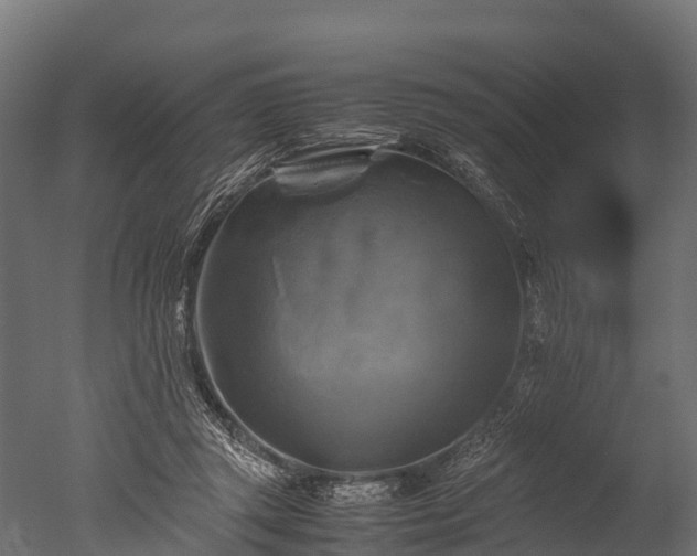 X0000050740357200506161533