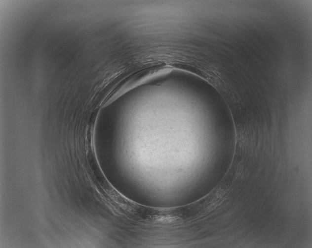 X0000050740360200506161533