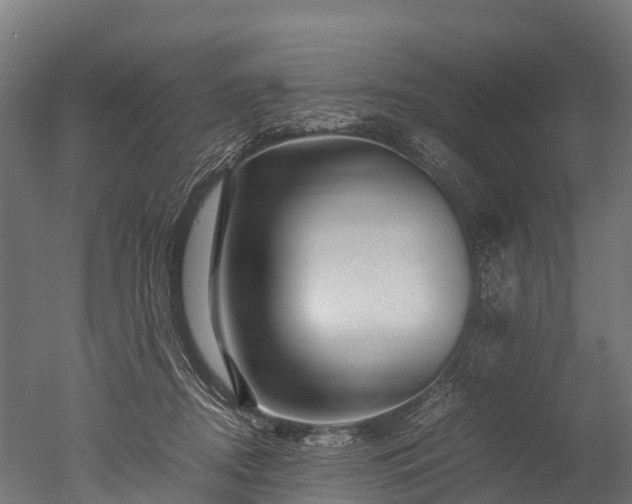 X0000050740362200506161533