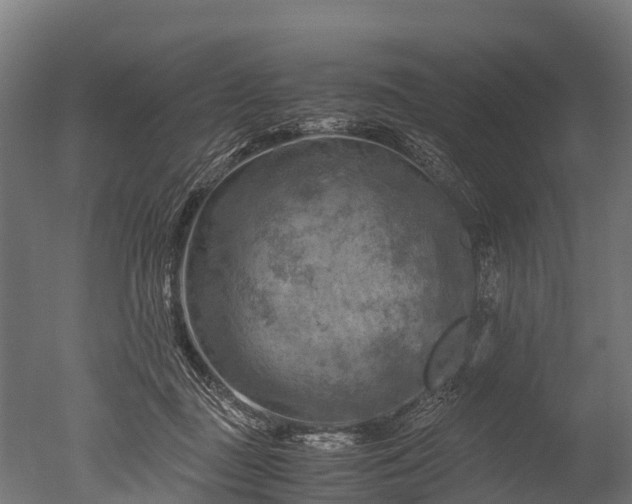 X0000050740363200506161533