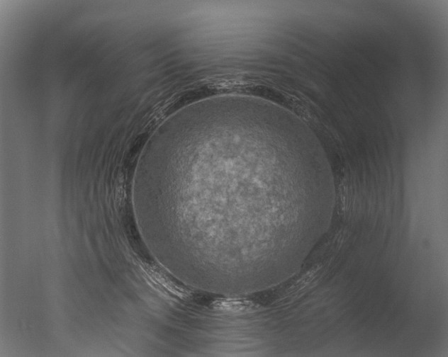 X0000050740372200506161533