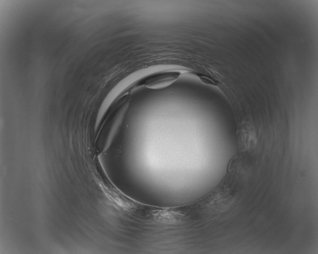 X0000050740379200506161533