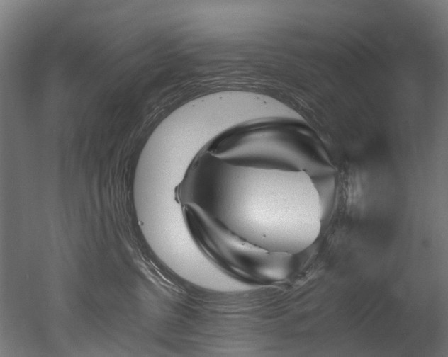 X0000050740380200506161533