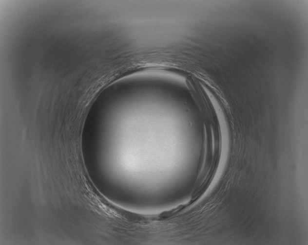 X0000050740385200506161533