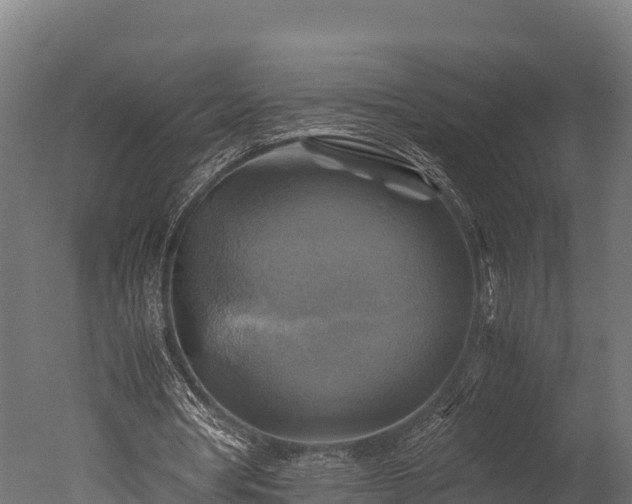 X0000050740386200506161533