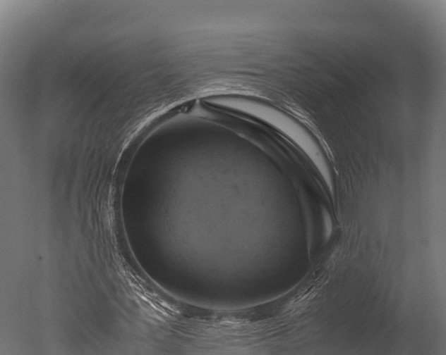 X0000050740387200506161533