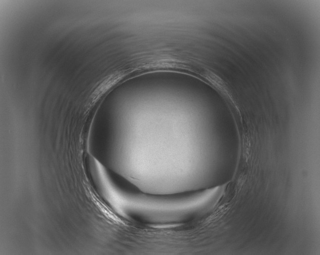 X0000050740389200506161533