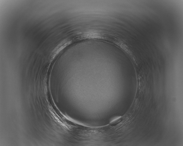 X0000050740390200506161532