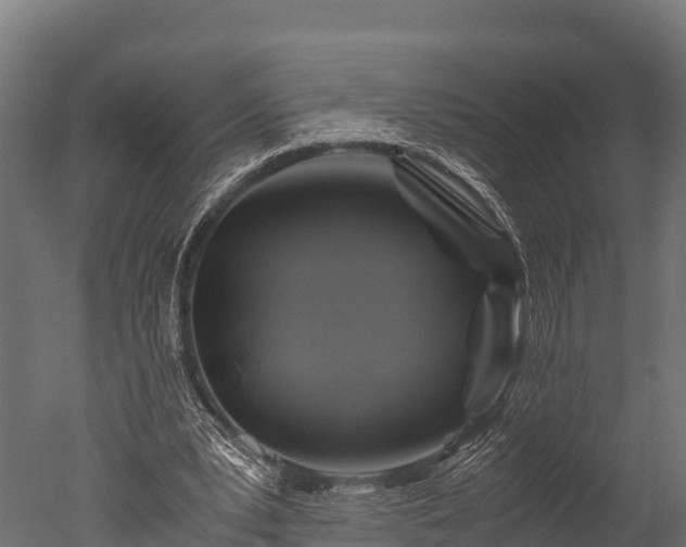 X0000050740391200506161532