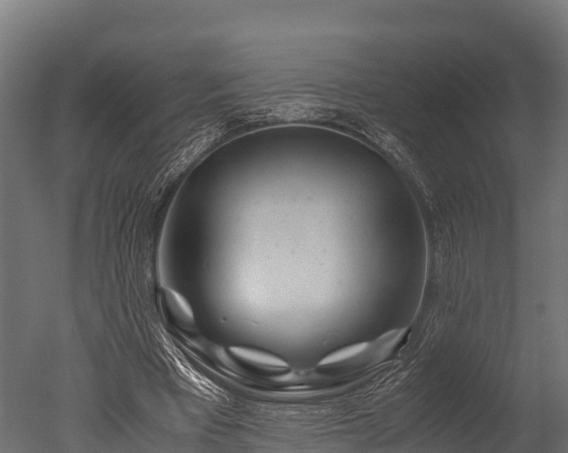 X0000050740393200506161532