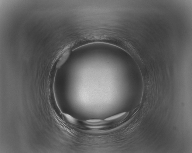 X0000050740395200506161532