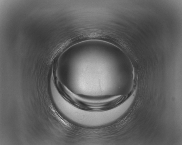X0000050740397200506161532
