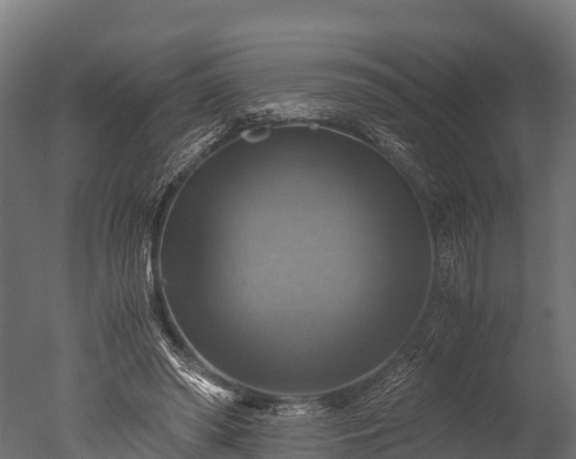 X0000050740398200506161532