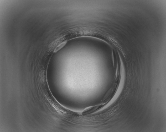 X0000050740401200506161532