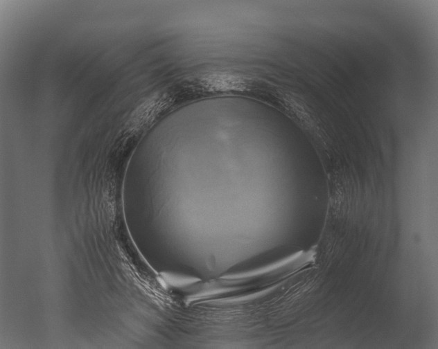 X0000050740402200506161532