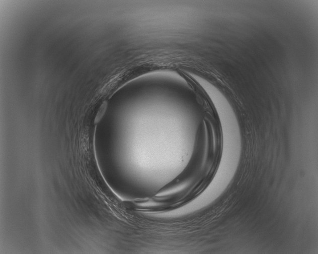 X0000050740407200506161532