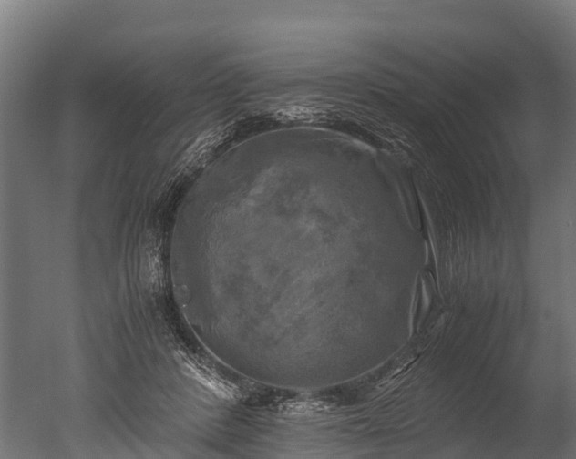 X0000050740408200506161532