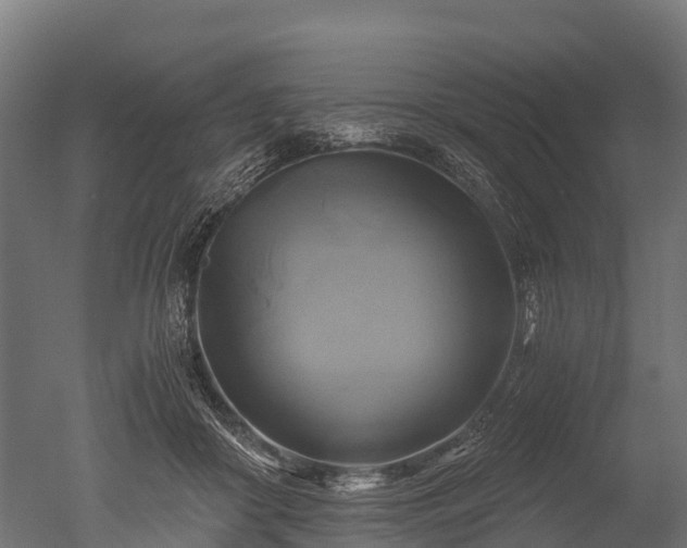 X0000050740410200506161532