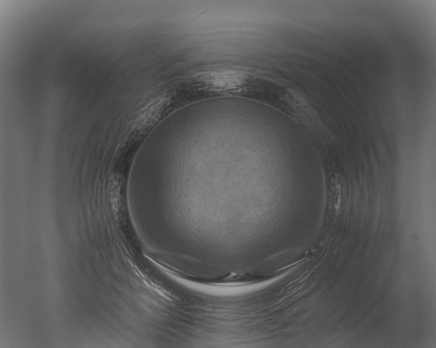 X0000050740412200506161532