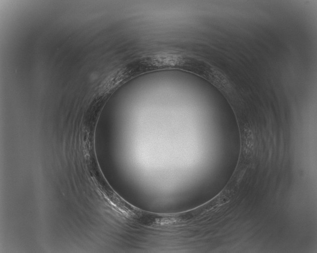 X0000050740414200506161532