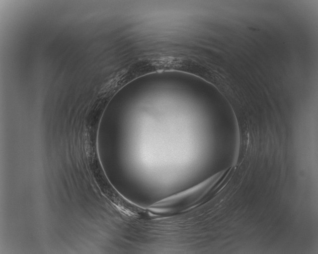 X0000050740416200506161532